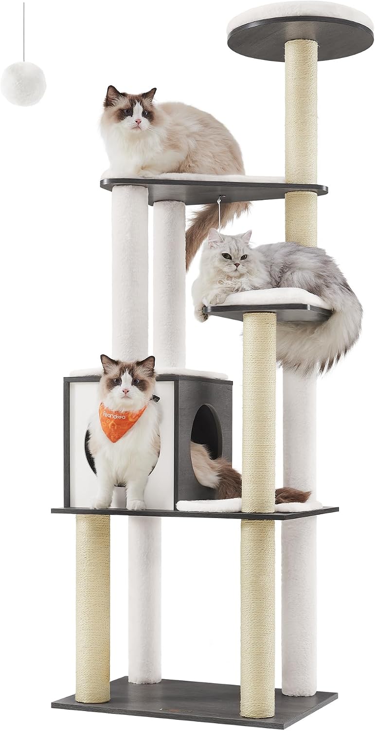 Multi-level cat tree with scratching posts and a covered den.