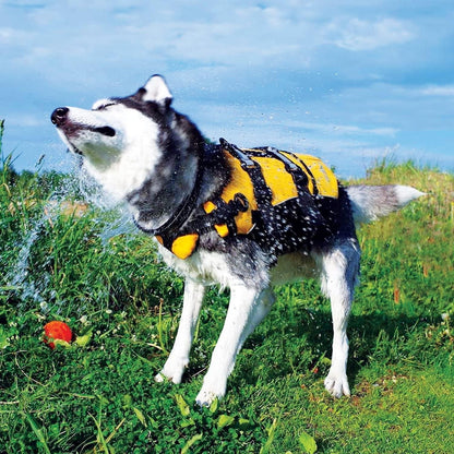EzyDog dog life vest with reflective trim and grab handle.